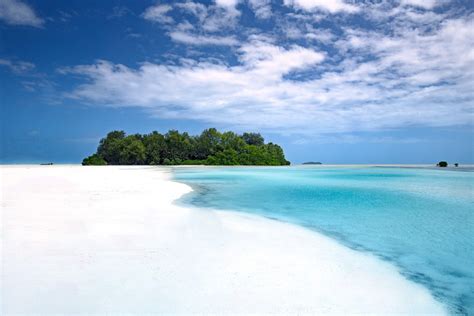 Palau beach Photo © tree m studio Palau 2019 — Yacht Charter & Superyacht News