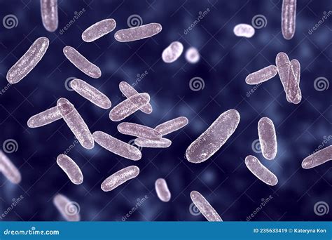 Bacteria Citrobacter, Gram-negative Coliform Bacteria from ...