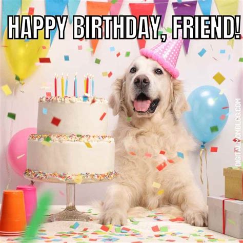 Coletar 75+ imagem dog happy birthday meme - br.thptnganamst.edu.vn