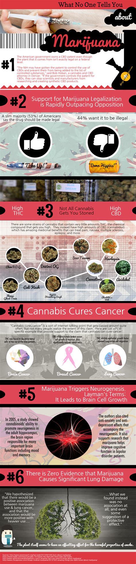 Cannabis Infographics on Behance