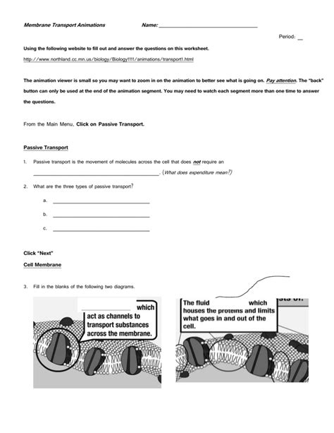 Membrane Transport Animations