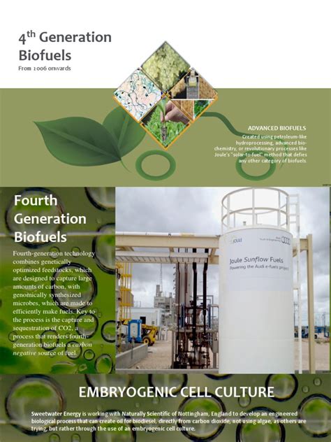 4th Generation Biofuels | PDF | Biofuel | Alternative Fuel