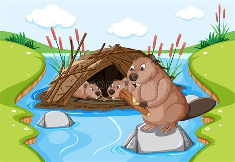 Beavers Dam Stock Illustrations – 109 Beavers Dam Stock Illustrations, Vectors & Clipart ...