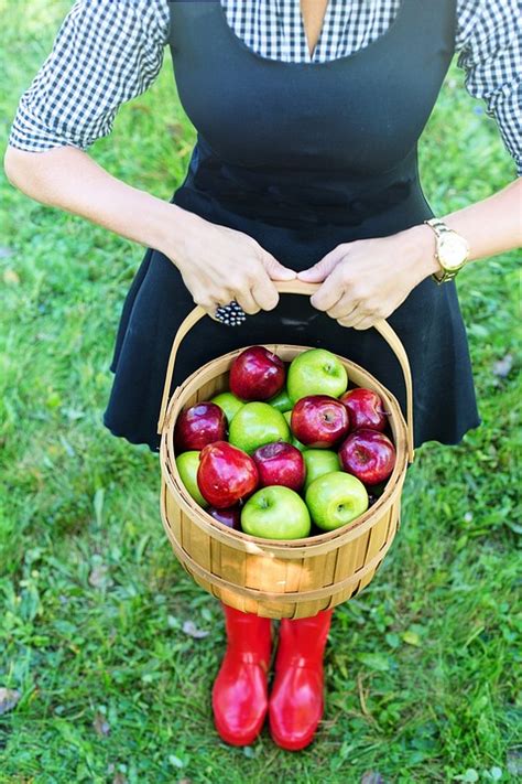 Basket Of Apples Apple Picking - Free photo on Pixabay - Pixabay