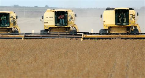 Brazil’s produce ‘fundamental for guaranteeing China’s food security’