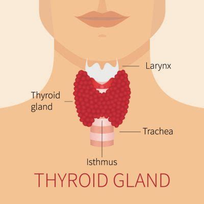 What Are the Symptoms of an Abnormal Thyroid? - Vitality Medical & Wellness Center