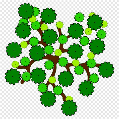 Tree, tree top view, leaf, grass png | PNGEgg