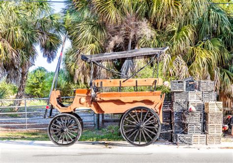 10 Best Things to Do in Cedar Key FL You Shouldn't Miss - Florida Trippers