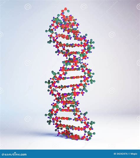 DNA Strand Model Royalty Free Stock Image - Image: 34242476