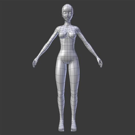 Stylized Humanoid Base Mesh - Female | 3D model | 3d model character ...