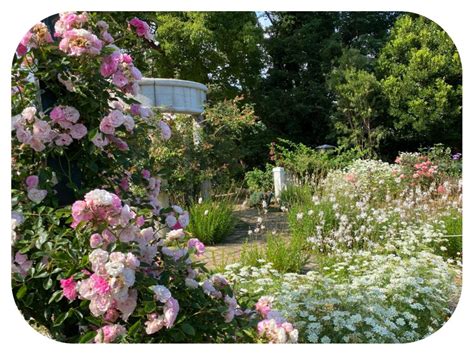 The Amazing Akao Herb And Rose Garden In Atami, Japan And Are We Nearly ...