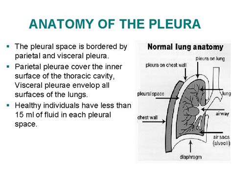 6 PLEURAL EFFUSIONS 1 Aims of this subject