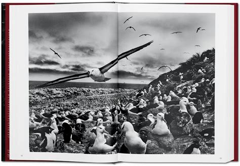 Sebastião Salgado. GENESIS