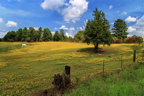 Texas Countryside Photograph by James Eddy - Pixels