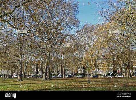 Dulwich park in winter hi-res stock photography and images - Alamy