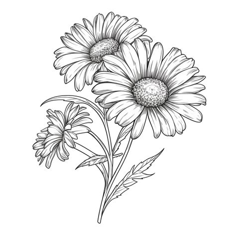 Premium AI Image | A drawing of a bunch of daisies on a white ...