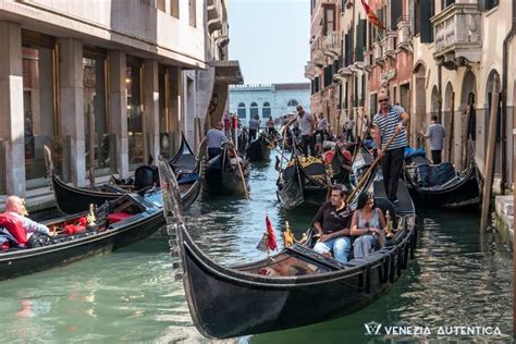 Venetian gondola: history of the most typical boat in Venice - Web Top News