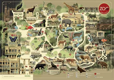 The zoo plan of the Antwerpen Zoo. Antwerpen, Belgium. [1191x842] : MapPorn