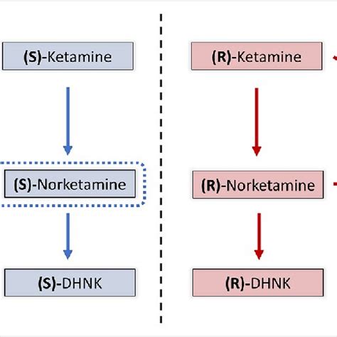 Chemical structure of ketamine enantiomers. (S)-ketamine and... | Download Scientific Diagram