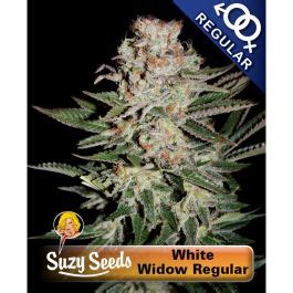 White Widow Seeds - Cannabis Seeds - SuzySeeds.com