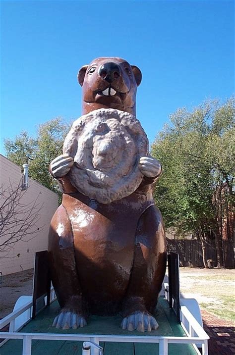 Beaver, OK : Beaver photo, picture, image (Oklahoma) at city-data.com