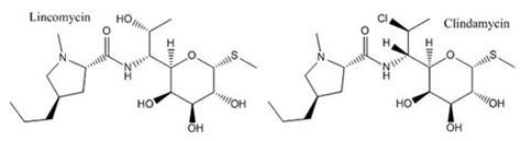 Lincomycin & Clindamycin - PharmaFactz