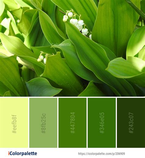 Color Palette Ideas from Green Plant Flower Image | iColorpalette