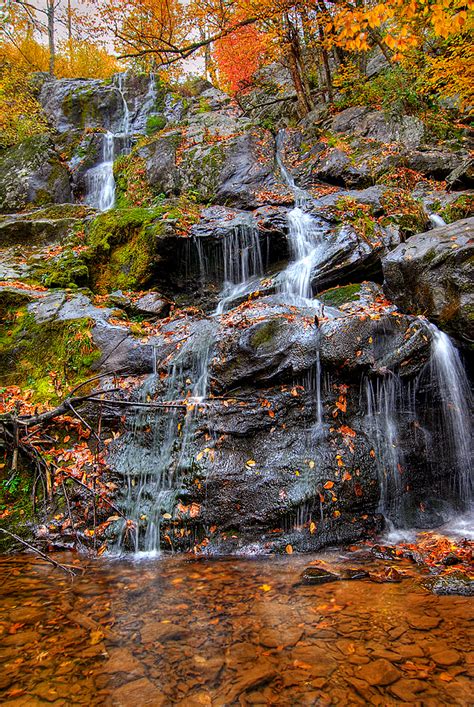 Dark Hollow Falls - Shenandoah National Park - a photo on Flickriver