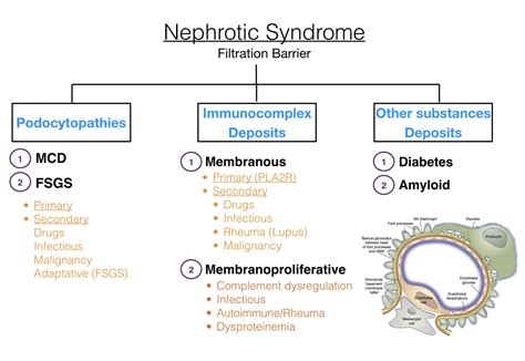 Nephrotic syndrome,what to know?