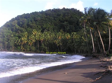 Kolin's Travels: Dominica--The Nature Island