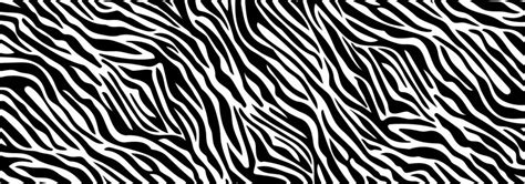 Zebra Pattern Vector - All About Logan