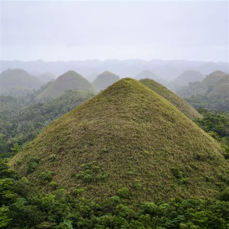 Tarsier Conservation Area (Bohol, Philippines) | Choose Your Adventure