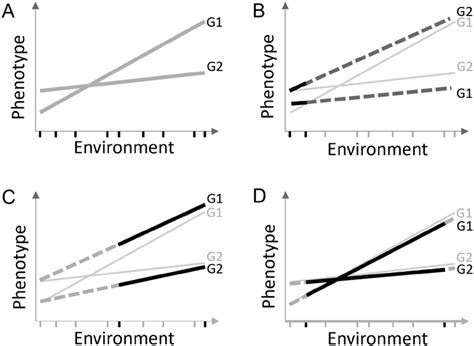 A schematic diagram of different scenarios of reaction norms. (A)... | Download Scientific Diagram