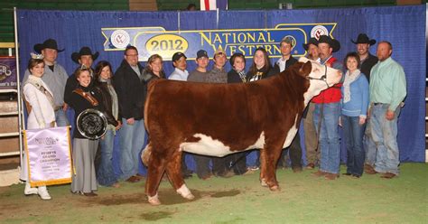 Buck Cattle Co. Blog: NWSS - Reserve Grand Polled Hereford - Jr & Open Show