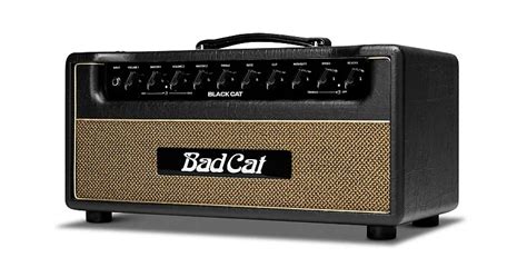 Bad Cat Black Cat 2-Channel 20-Watt Guitar Amp Head