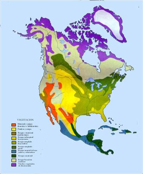 Vegetación de América del Norte | Gifex