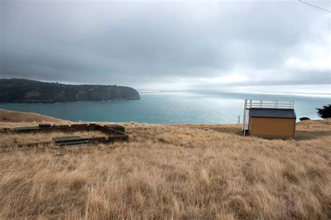 Godley Head Track with kids: The Best Coastline Walk in Christchurch