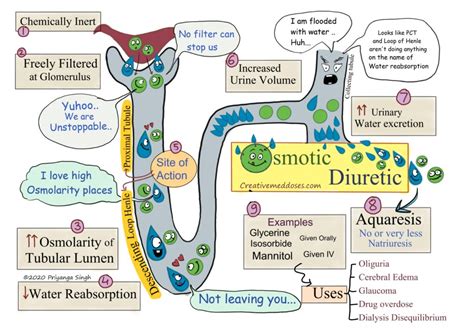 Osmotic Diuretics: aquaretics without natriuresis - Creative Med Doses