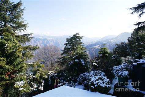 Mussoorie Winter 2011 2 Photograph by Padamvir Singh - Fine Art America