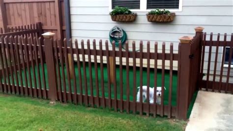 Cheap Homemade Dog Kennel Ideas | Bruin Blog