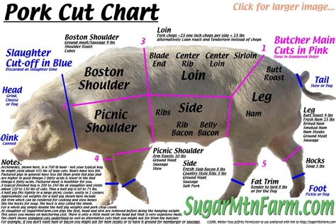 Pork Meat Cuts Diagram