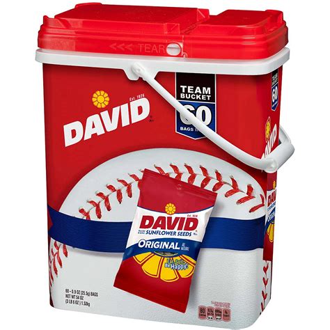 David Sunflower Seeds Team Bucket | Academy