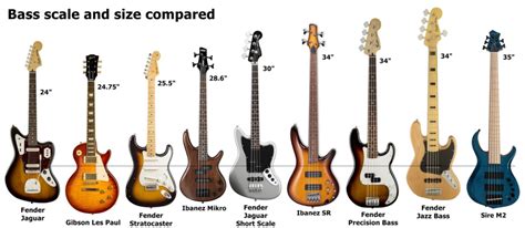 Electric Guitar vs Bass: A Deep Dive into Their Distinctive Worlds