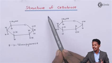 Structure of Cellobiose - Biomolecules - Chemistry Class 12 - YouTube