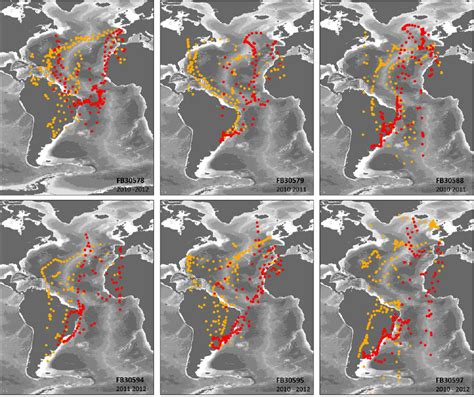 Migration routes recorded from 6 Manx shearwaters breeding on Ramsey ...