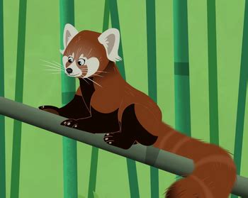 Red Panda | Wild Kratts Wiki | Fandom