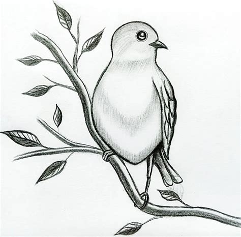 25 Easy bird drawing ideas picture