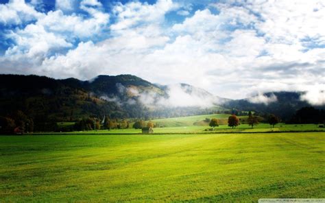 Download Beautiful Green Meadow Wallpaper - GetWalls.io