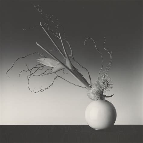 Robert Mapplethorpe Flowers Photos | Best Flower Site