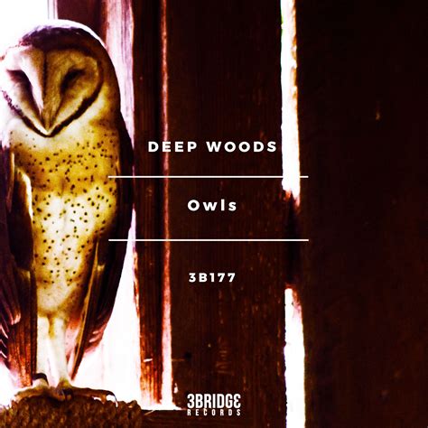 IhouseU.com | Deep Woods - Owl